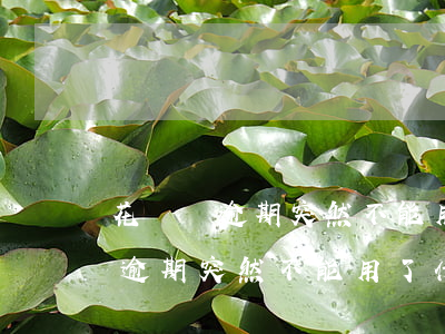 花唄沒逾期突然不能用還能恢復嗎-花唄沒逾期突然不能用了 什么時候能恢復