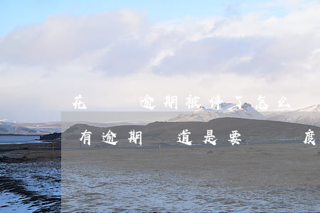 花唄沒逾期被停了怎么辦(花唄突然被停用 沒有逾期 難道是要漲額度嗎?)