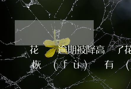 花唄沒逾期被降高額了(花唄逾期降額多久能恢復(fù)還有機(jī)會(huì)用嗎)