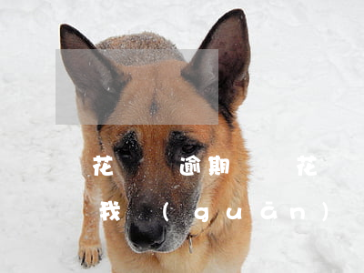 花唄沒逾期變紅(花唄從來沒有逾期過,為啥給我關(guān)閉了)