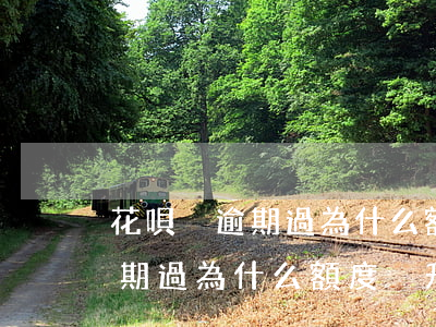 花唄沒逾期過為什么額度沒升過-花唄沒逾期過為什么額度沒升過呢