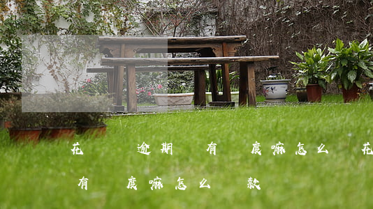 花唄沒逾期還有額度嘛怎么還(花唄沒逾期還有額度嘛怎么還款)