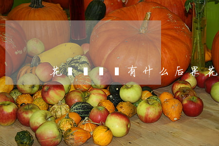 花唄沒還會有什么后果(花唄沒還會怎樣)