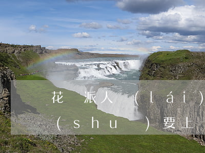 花唄派人來(lái)本地了-借唄逾期說(shuō)要上戶籍地調(diào)查