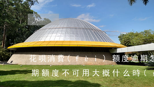 花唄消費(fèi)額度逾期怎么辦(花唄逾期額度不可用,大概什么時(shí)候恢復(fù))