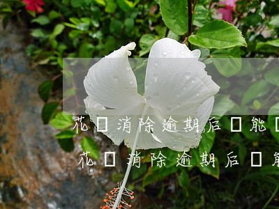 花唄消除逾期后還能繼續(xù)使用么-花唄消除逾期后還能繼續(xù)使用么