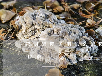 花唄消除逾期怎么消除(支付寶逾期花唄怎么修復)