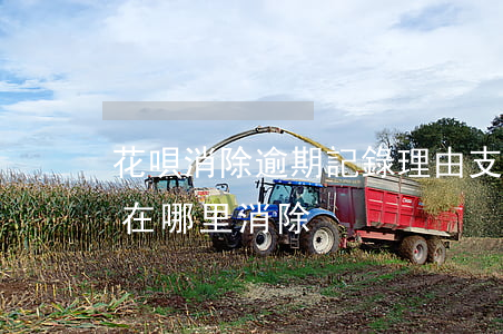 花唄消除逾期記錄理由(支付寶花唄逾期記錄在哪里消除)