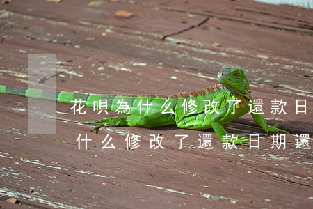 花唄為什么修改了還款日期還要還-花唄為什么修改了還款日期還要還款