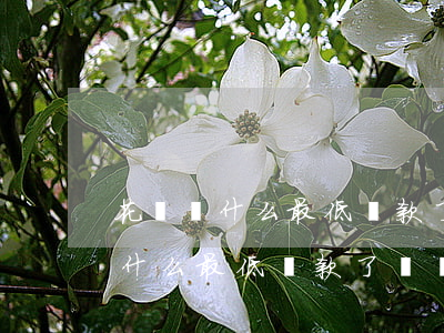 花唄為什么最低還款了還顯示逾期-花唄為什么最低還款了還顯示逾期了