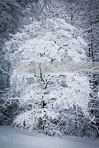 花唄為什么有兩次逾期(花唄逾期好幾次只能還錢,又逾期該咋辦)
