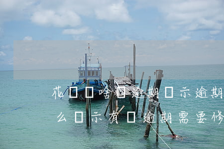 花唄為啥沒逾期顯示逾期(花唄沒有逾期為什么顯示有條逾期需要修復(fù))