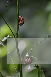 花唄無(wú)力償還會(huì)怎樣-花唄無(wú)力償還會(huì)怎樣處理