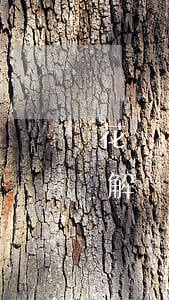花唄無(wú)緣無(wú)故暫停了怎么解決-2022年花唄全停了啥情況