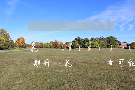 花唄現(xiàn)實(shí)有賬單逾期行為(花唄賬單有可能出錯(cuò)嗎)