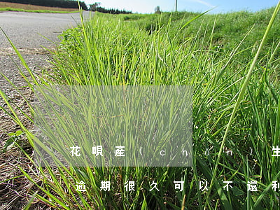 花唄產(chǎn)生利息還算逾期嗎(花唄逾期很久,可以不還利息只還本金嗎)