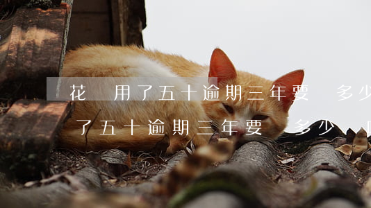 花唄用了五十逾期三年要還多少錢-花唄用了五十逾期三年要還多少錢呢