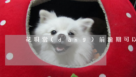 花唄當(dāng)前逾期可以買車嗎