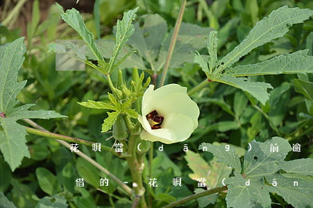花唄當(dāng)前逾期有沒有北京能私借的-花唄當(dāng)前逾期有沒有北京能私借的平臺(tái)