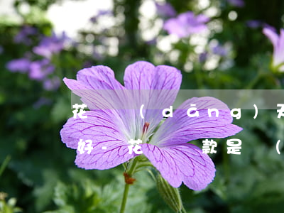 花唄當(dāng)天還款還是前一天還更好-花唄還款是當(dāng)天還還是頭天還