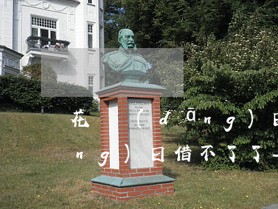 花唄當(dāng)日還款為什么當(dāng)日借不了了-花唄當(dāng)日還款為什么當(dāng)日借不了了呢