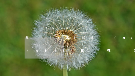 花唄發(fā)短信說調(diào)解時(shí)間已過-花唄調(diào)解通知