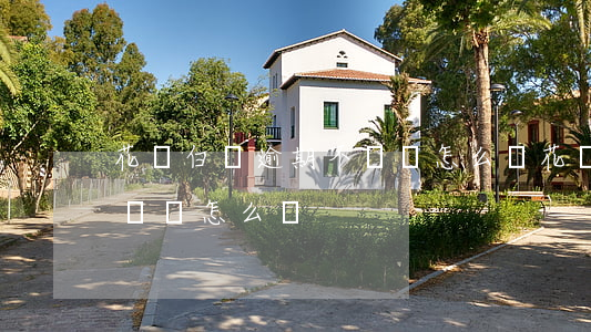 花唄白條逾期不還會怎么樣(花唄白條逾期不還會怎么樣)
