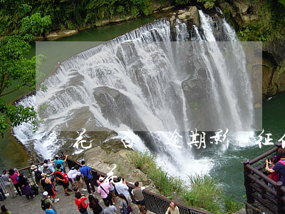 花唄白條逾期影響征信多久(白條逾期影不影響花唄)