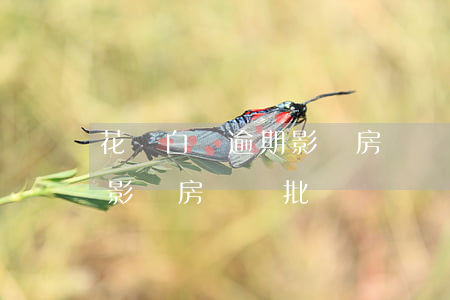 花唄白條逾期影響房貸審批嗎（花唄白條逾期影響房貸審批嗎）