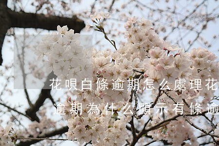 花唄白條逾期怎么處理(花唄沒(méi)有逾期為什么顯示有條逾期需要修復(fù))