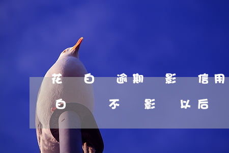 花唄白條逾期會影響信用卡使用嗎(使用花唄白條會不會影響以后貸款信用)