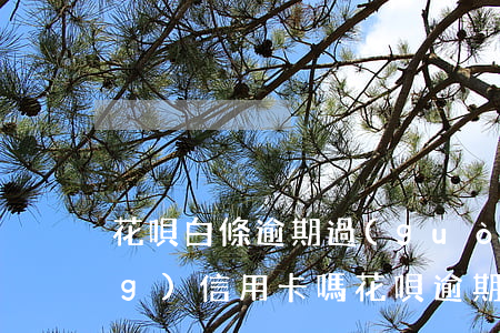 花唄白條逾期過(guò)能申請(qǐng)信用卡嗎(花唄逾期能辦信用卡)