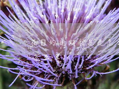 花唄的逾期利息是怎么算(花唄的逾期利息是怎么算)