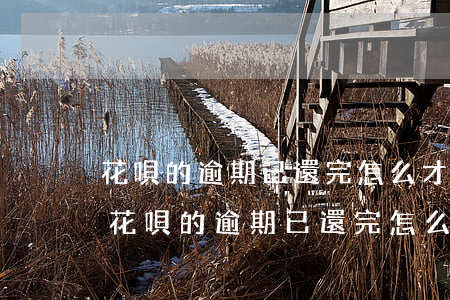 花唄的逾期已還完怎么才能恢復(fù)-花唄的逾期已還完怎么才能恢復(fù)正常