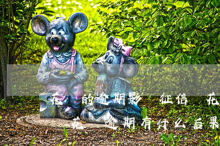 花唄的逾期影響征信嗎(花唄借唄逾期上征信嗎?花唄逾期有什么后果)
