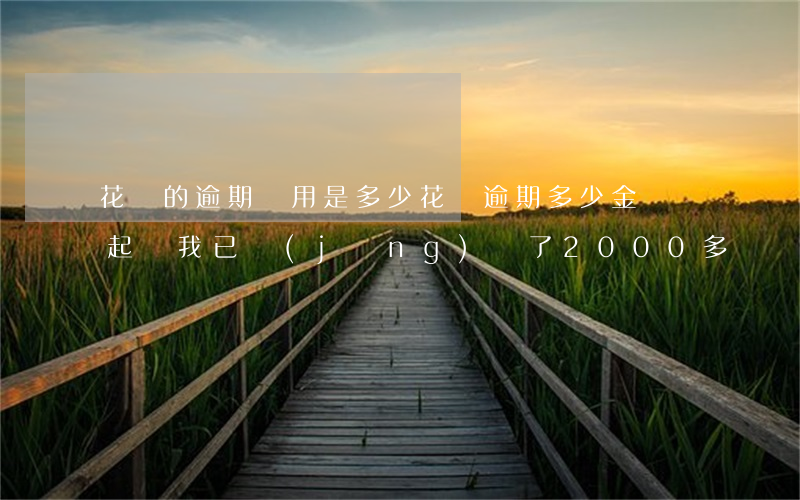 花唄的逾期費用是多少(花唄逾期多少金額會起訴,我已經(jīng)還了2000多)
