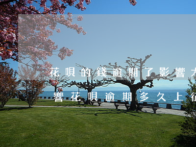花唄的錢逾期了影響大嗎(花唄逾期有什么影響?花唄逾期多久上征信)