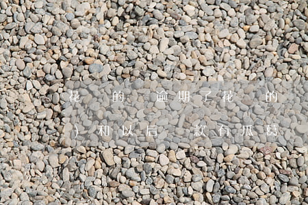 花唄的錢逾期了(花唄的錢逾期了會(huì)和以后貸款有瓜葛嗎)