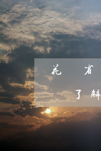 花唄省唄逾期會上門嗎(花唄逾期半年說要上門了解情況是真的嗎)