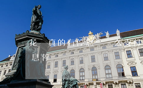 花唄真的有停息掛賬么(支付寶花唄能不能停息停賬?)
