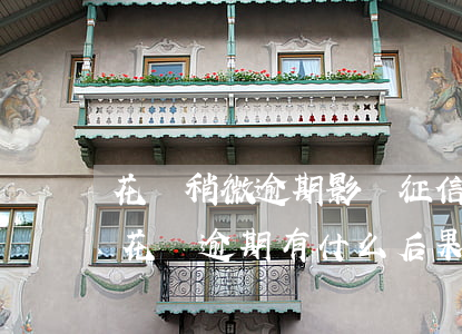 花唄稍微逾期影響征信嗎(花唄逾期上征信嗎?花唄逾期有什么后果 新聞)