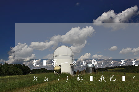 花唄第一次逾期20天(花唄逾期多少天會(huì)起訴,我已經(jīng)還了2000多)