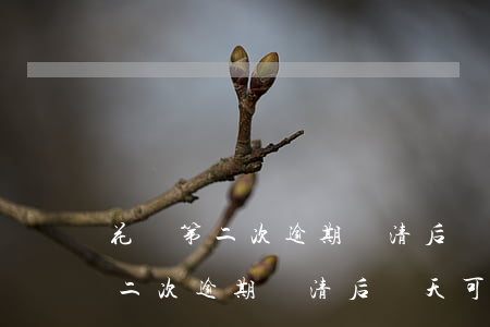花唄第二次逾期還清后幾天可以用-花唄第二次逾期還清后幾天可以用嗎