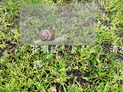 花唄結(jié)清25天，征信未更新正常嗎？