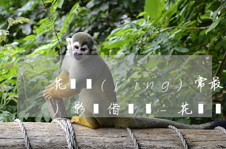 花唄經(jīng)常最低還款會(huì)影響借唄嗎-花唄經(jīng)常最低還款會(huì)影響借唄嗎