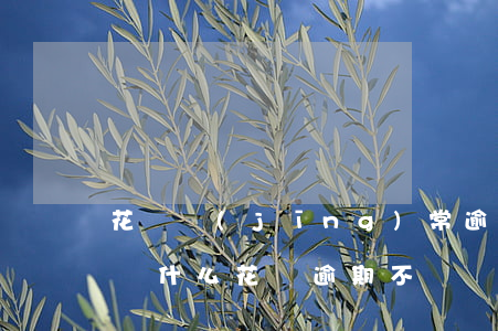 花唄經(jīng)常逾期會(huì)影響什么(花唄逾期不還會(huì)不會(huì)影響辦別的任何事情)