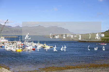 花唄網(wǎng)商貸六萬(wàn)逾期半年(支付寶網(wǎng)商貸逾期過(guò),已還清,但花唄無(wú)法用)