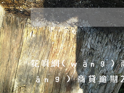 花唄網(wǎng)商貸逾期一年了(網(wǎng)商貸逾期20天了,花唄以后無法使用了嗎)