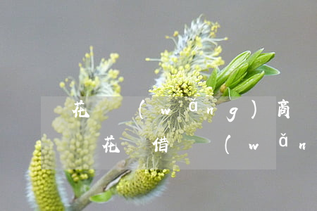 花唄網(wǎng)商貸逾期了怎么辦(支付寶花唄借唄網(wǎng)商貸逾期怎么先還借唄花唄?)