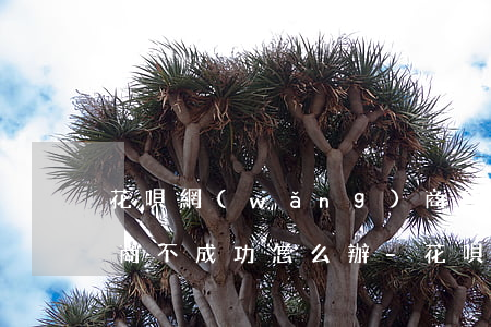 花唄網(wǎng)商貸逾期協(xié)商不成功怎么辦-花唄網(wǎng)商貸逾期協(xié)商不成功怎么辦呢